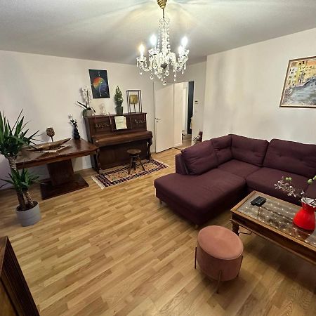 Ave De La Vaite Apartment Besancon Luaran gambar